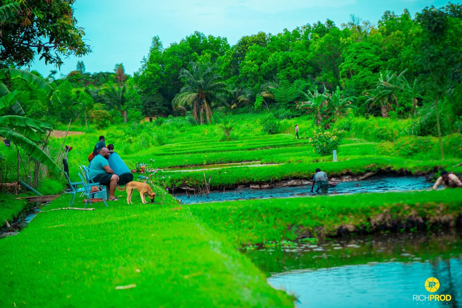Etangs et cadre naturel de la ferme